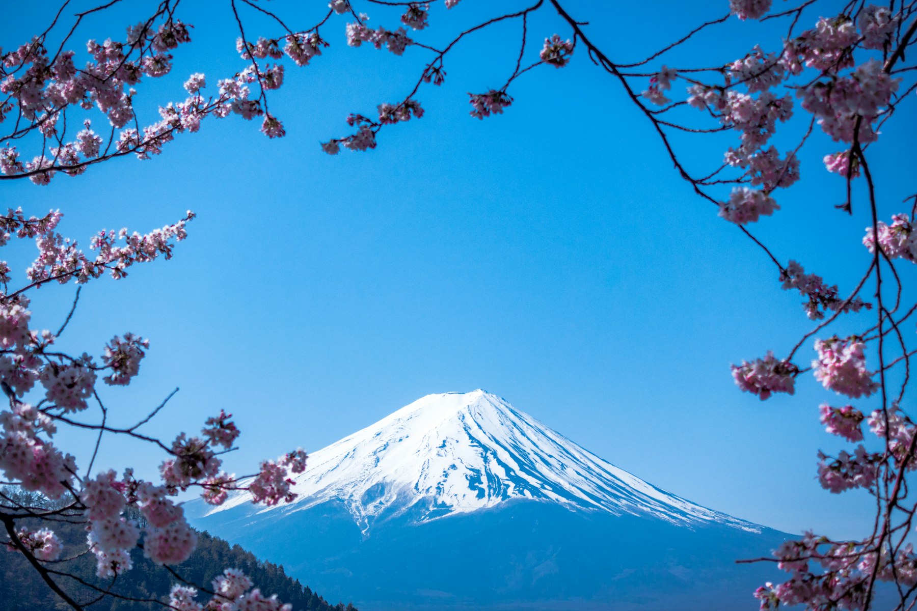 Mount Fuji framed by autumn scenery in Japan